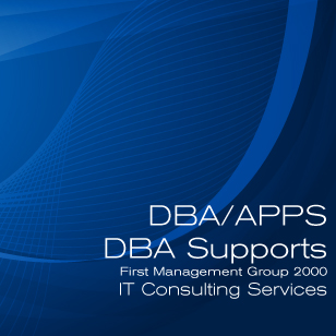 DBA/APPS DBA supports. Patches for  ERP application and Databases, On-Call supports for week-end/after work hours in Chicago, Illinois, US