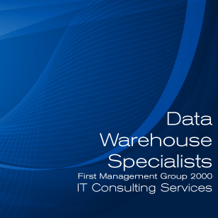 Data Warehouse Specialists in Chicago, Illinois, US: Re-organization of database. Reporting. Legacy databases to data warehouse